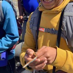 58_CLT_Gents_Trek_2024_original